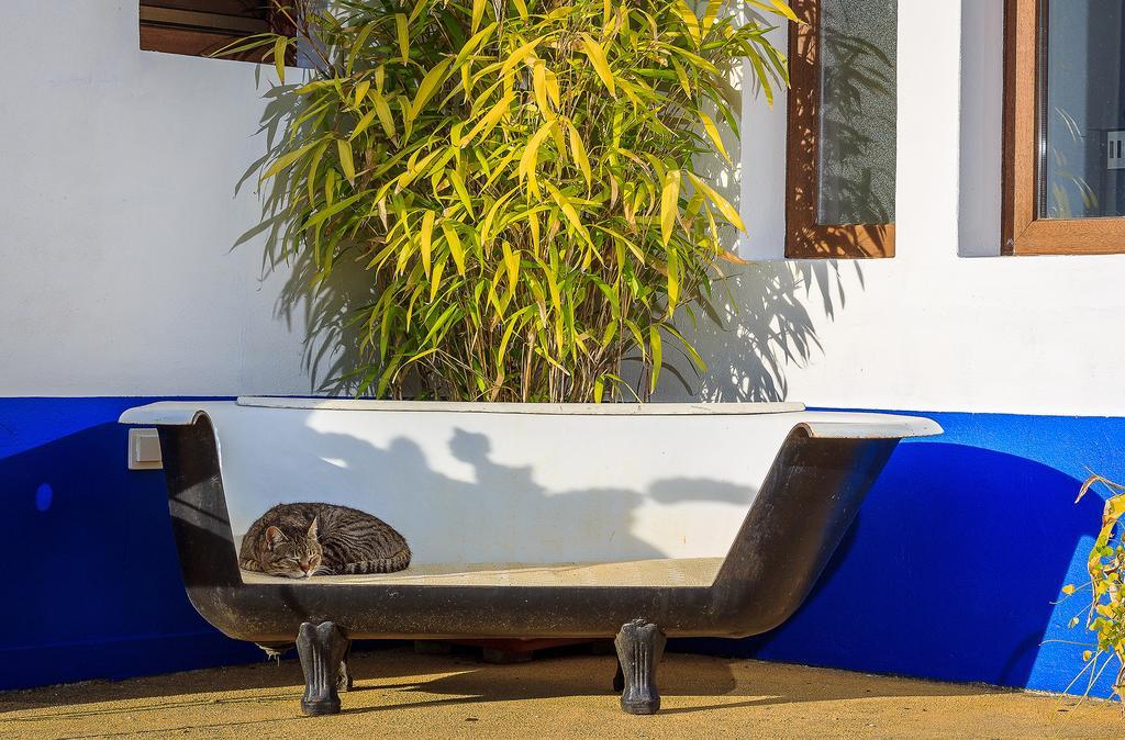 The New Laziness Guest House Sao Luis Bagian luar foto